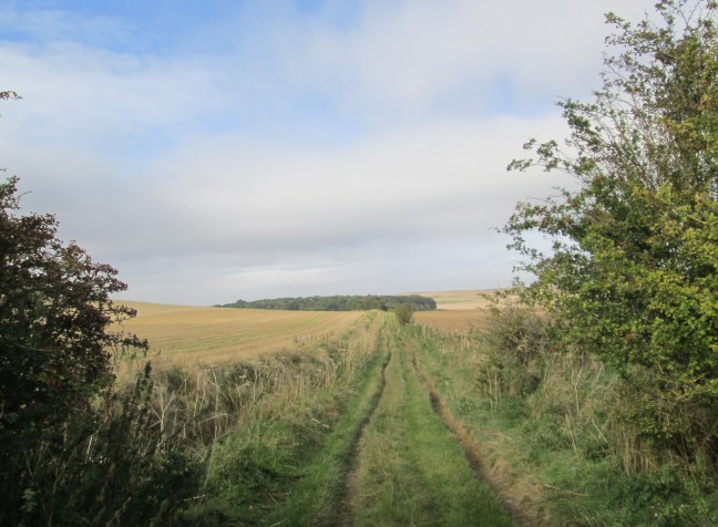 IMG_3370 Botley Copse cr